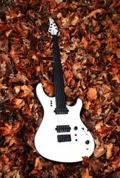 Mayones Perfect