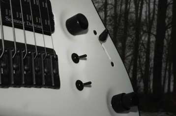 Mayones Perfect