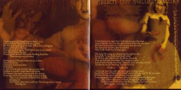 Буклет Remedy Lane, разворот 5